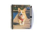 ANBP46 Notebook and Pen Set 4â€x6â€ 101mmx152mm printed