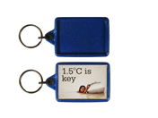 IL05 Recycled Keyring 35x50mm Blank