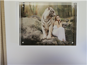AVB68 Acrylic Vision Blox Photo