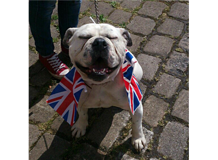 British Made Products