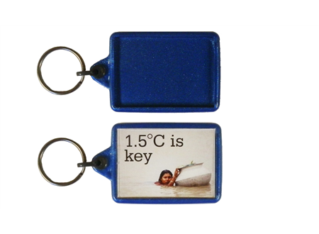 IL05 Recycled Keyring 35x50mm Blank