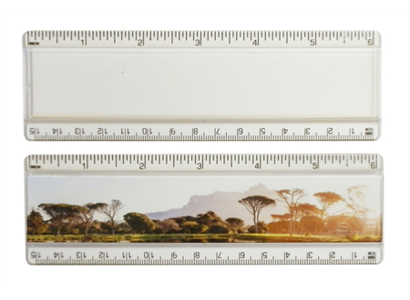 T6 Ellison Insert Rulers 15cm 