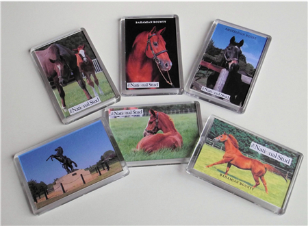 Horse Magnets