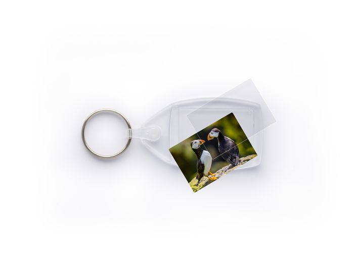 P6 Lita Insert Keyrings 35 x 24mm unassembled