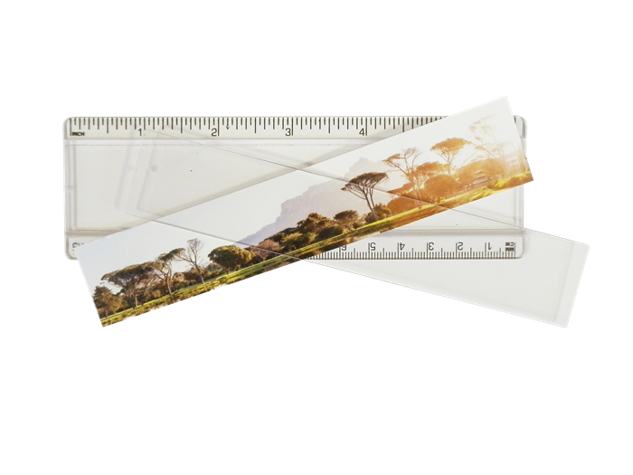 T6 Ellison Insert Rulers 15cm 