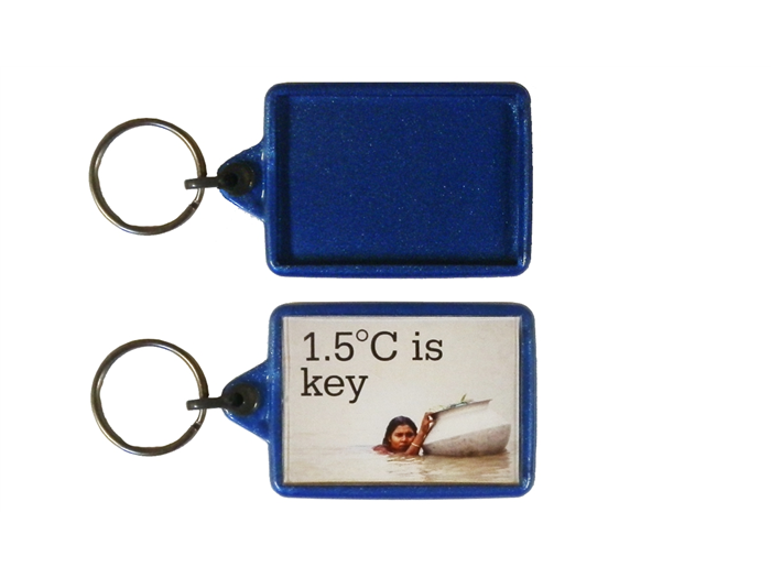 IL05 Recycled Keyring 35x50mm Blank