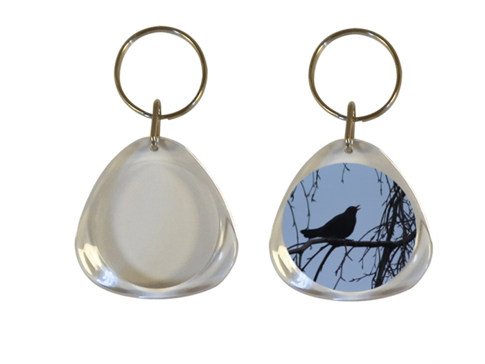 Triangular Keyrings Blank