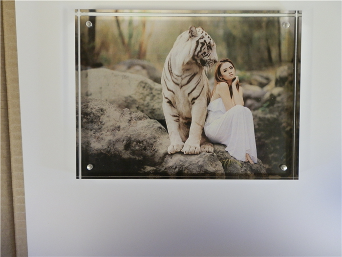 AVB68 Acrylic Vision Blox Photo