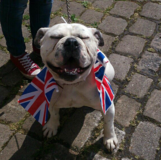 British Made Products